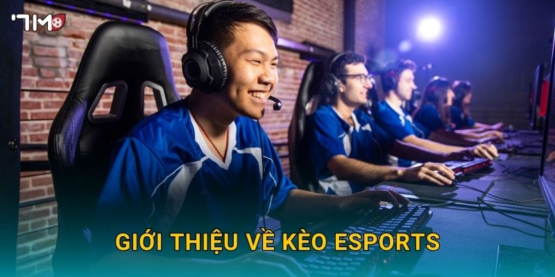 Kèo Esports 7M – Nắm Bắt Xu Hướng Cá Cược Thể Thao Điện Tử 2025 2 Giới thiệu về kèo Esports