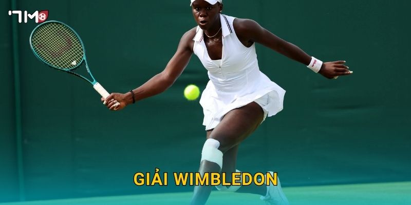 Giải Wimbledon 7M – Thông Tin, Dự Đoán Và Soi Kèo Tennis 2025