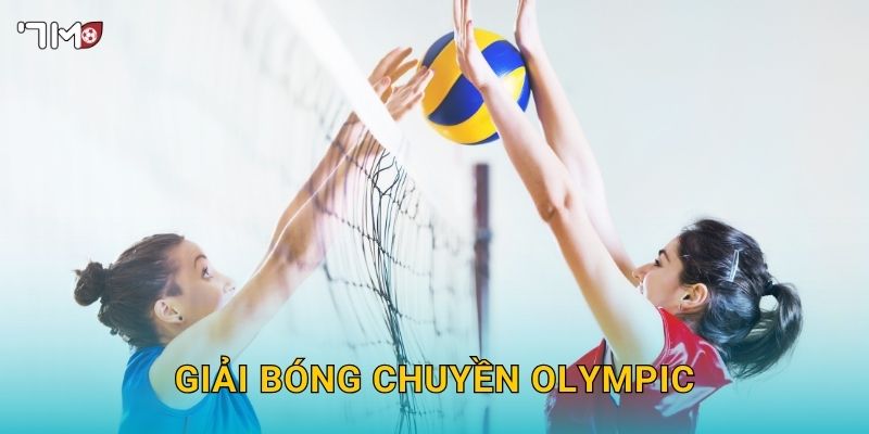 Giải Bóng Chuyền Olympic 7M – Dự Đoán Kết Quả Và Kèo Thắng Lớn 2025