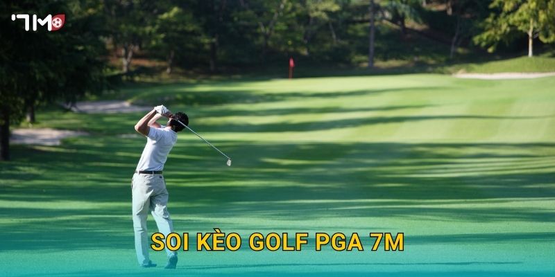 Giải Golf PGA 7M – Phân Tích Tỷ Lệ Kèo Và Dự Đoán Nhà Vô Địch 2025 3 Soi kèo golf PGA 7M